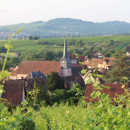 A L'Oree Des Vignes, Superbe Logement De 80 M2 Wangen Zewnętrze zdjęcie