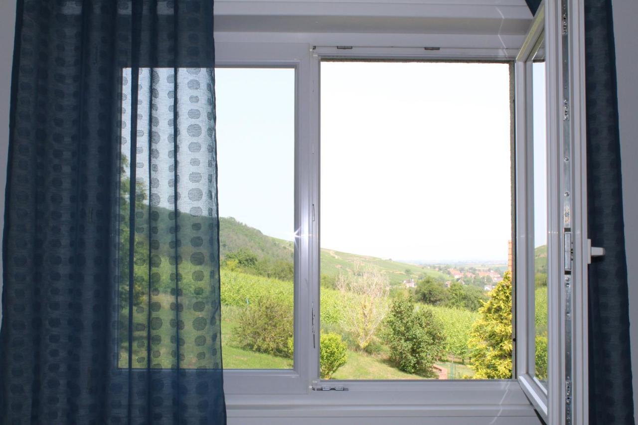 A L'Oree Des Vignes, Superbe Logement De 80 M2 Wangen Zewnętrze zdjęcie