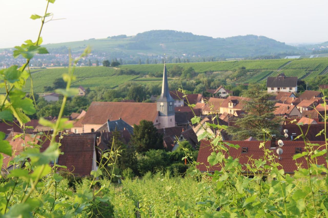 A L'Oree Des Vignes, Superbe Logement De 80 M2 Wangen Zewnętrze zdjęcie